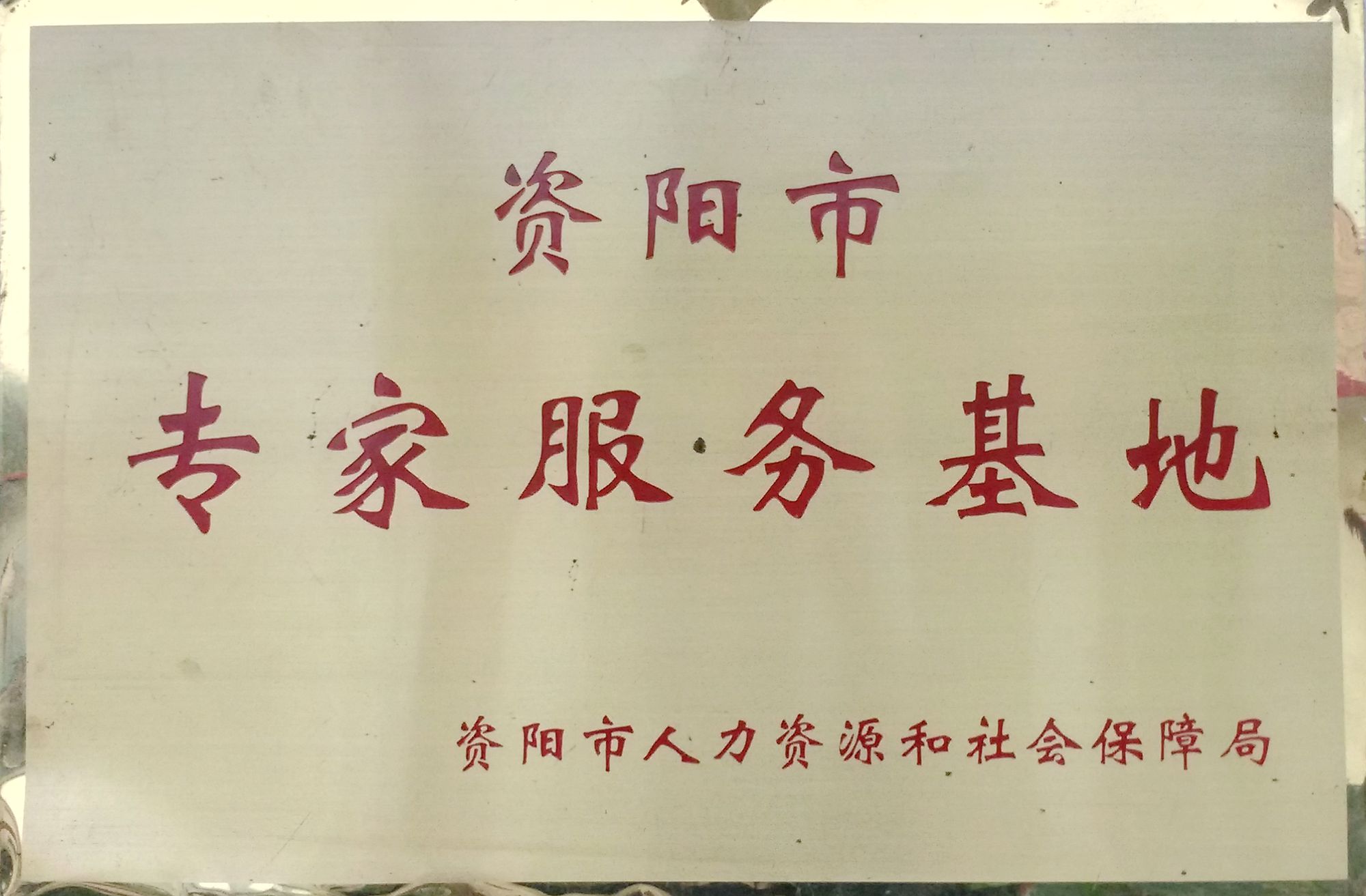 资阳市专家服务站.jpg