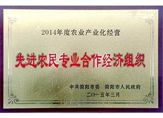 先进农民专合社