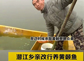 扬州黄骨鱼苗养殖案例